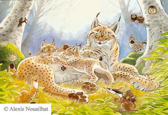la famille de lynx