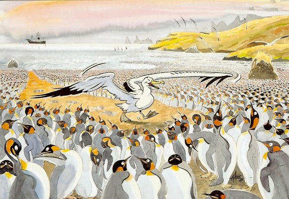 l'albatros et les manchots Alexis Nouailhat
