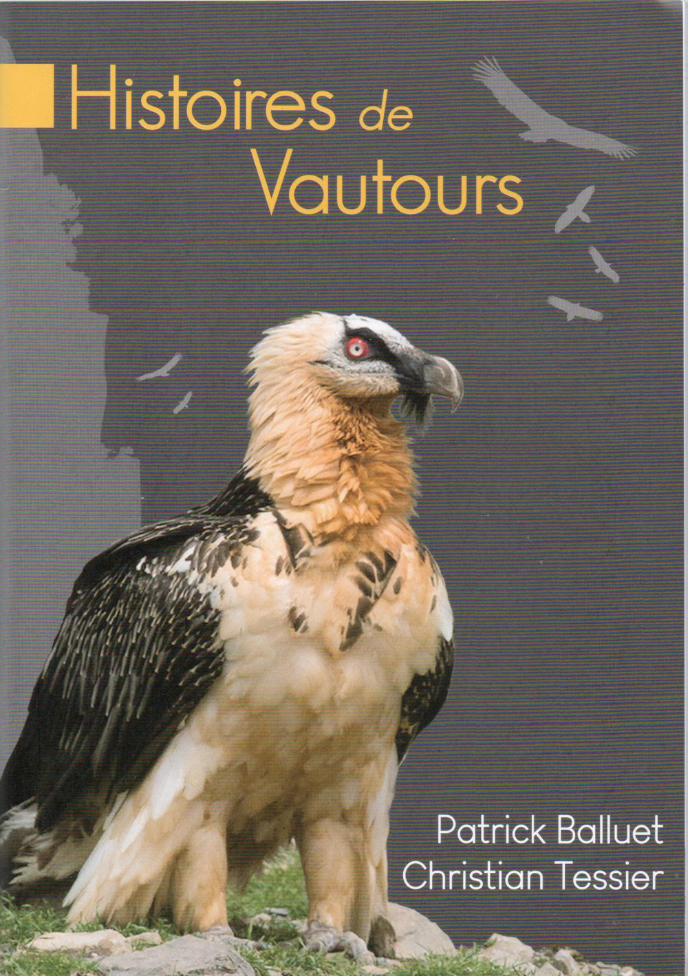 Histoires de vautours