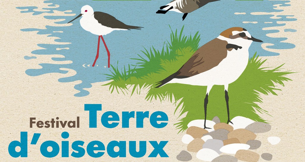 Festival Terre d’oiseaux à Lorient