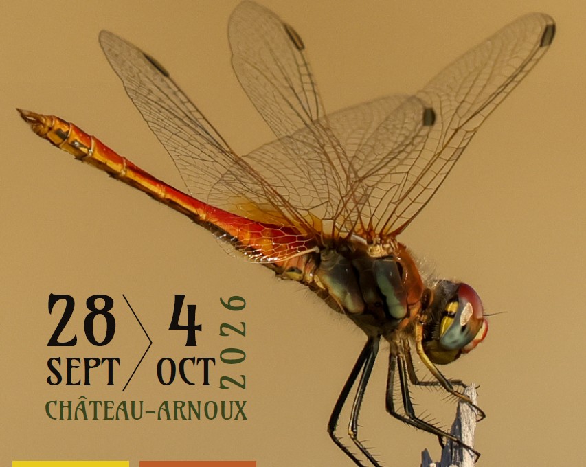 Festival de la biodiversité