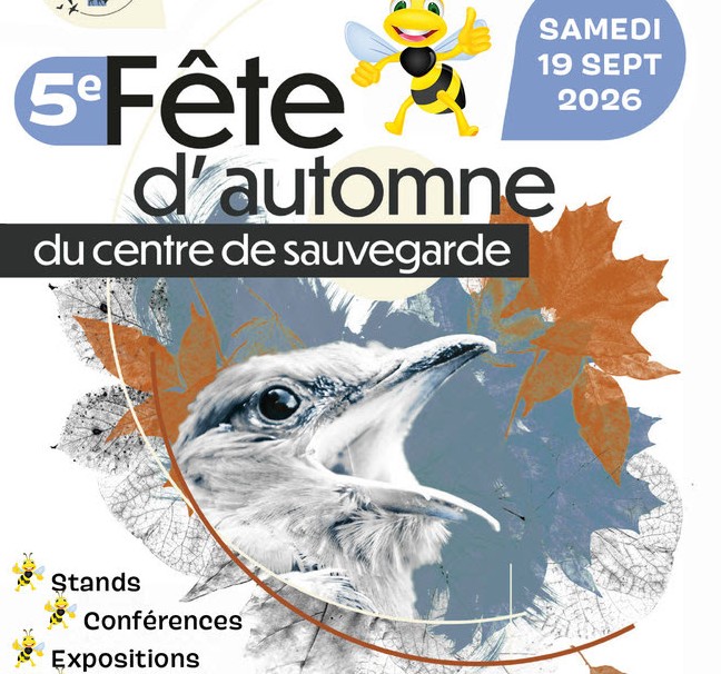 Faune et humour